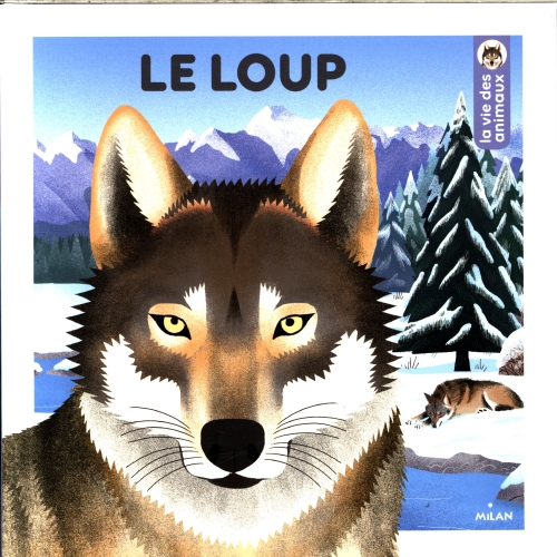 Le-loup.jpg