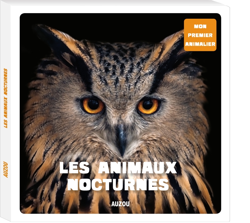 Les-animaux-nocturnes.jpg