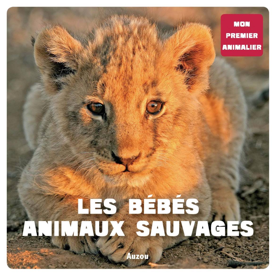 Les-bébés-animaux-sauvages-scaled.jpg